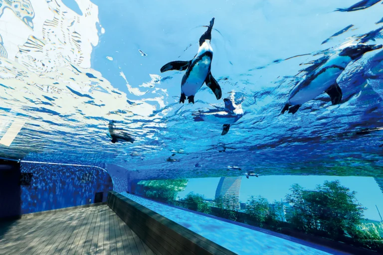 サンシャイン水族館様