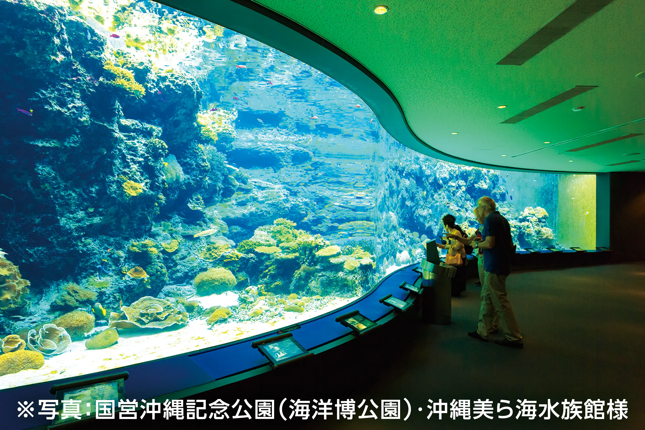 水槽 - 株式会社シンシ